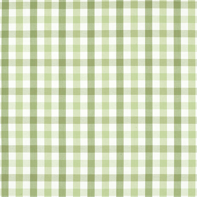 Saybrook Check Green AW15145 by Anna French Fabric Anna French Fabric Saybrook Check Green AW15145Fabric Antilles Fabric Book 100% Cotton INDIA </p><p>Repeat: V: 4 54 - Fabric Carolina -