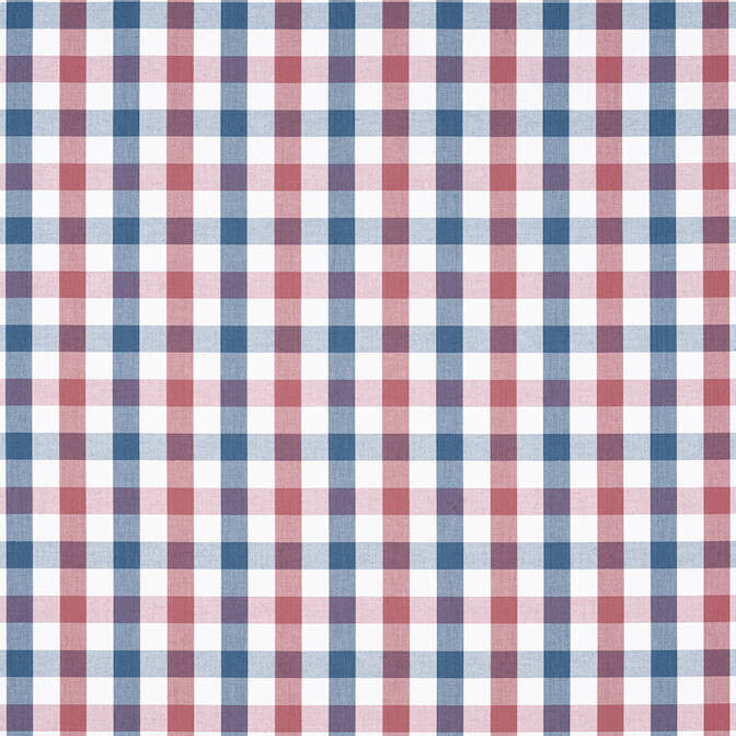 Saybrook Check Blue and Red AW15153 by Anna French Fabric Anna French Fabric Saybrook Check Blue and Red AW15153Fabric Antilles Fabric Book 100% Cotton INDIA </p><p>Repeat: V: 4 54 - Fabric Carolina -