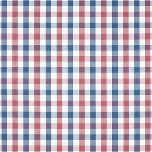 Saybrook Check Blue and Red AW15153 by Anna French Designer Fabric