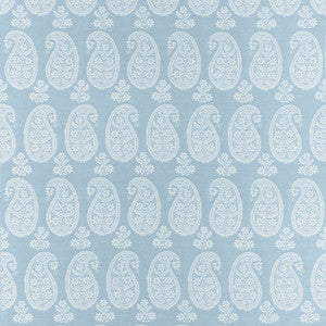 Campania Paisley Robin's Egg AW16108 by Thibaut Designer Fabric