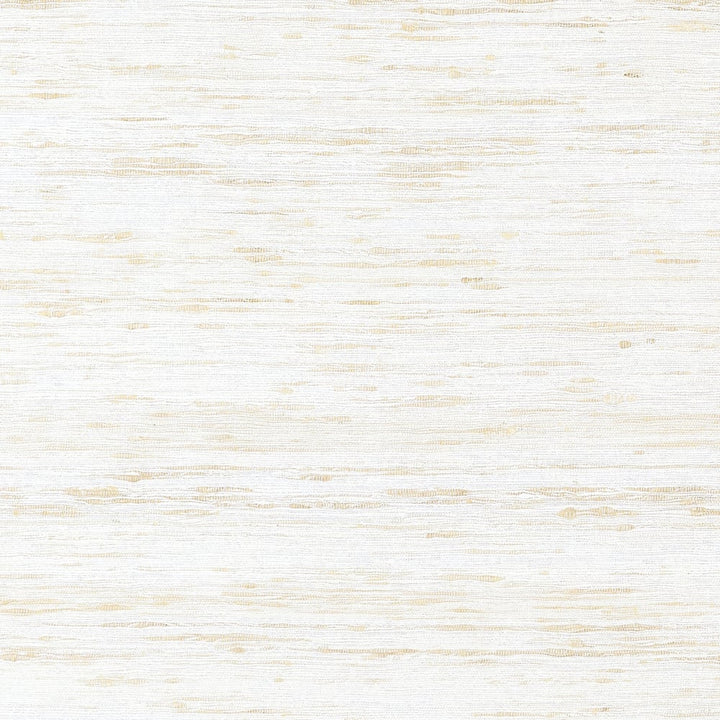 Pradesh White AW16118 by Thibaut Fabric Thibaut Fabric Pradesh White AW16118Fabric SOLEIL TEXTURES U.S.A </p><p>Repeat: H: , V: (0.00 cm) 54 in  (137.16 cm) - Fabric Carolina -