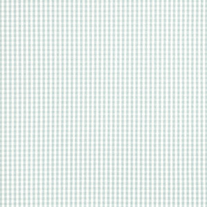 Leighton Check Robin's Egg AW24512 by Anna French Designer Fabric
