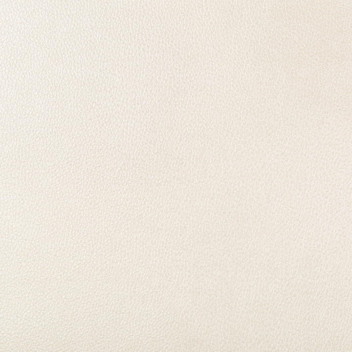 Azeri-1 by Kravet Design Designer Fabric POLYURETHANE - 62%;POLYESTER - 38% China HEAVY Horizontal: and Vertical: 54 - Swanky Fabrics -