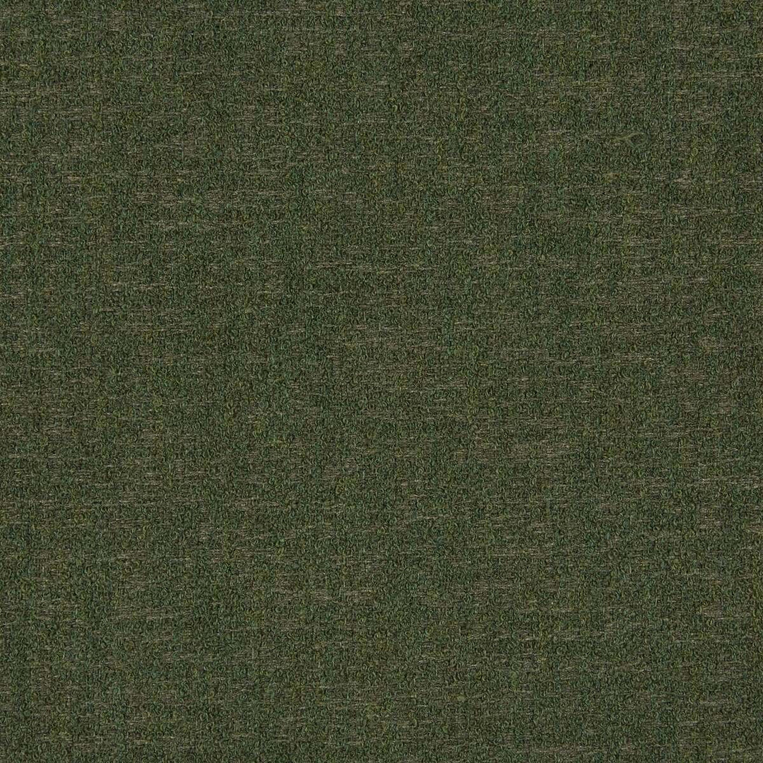 370041-0013 Abstraction Aloe by Sunbrella Fabric