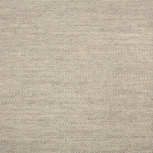 44285-0001 Action Ash by Sunbrella Designer Fabric
