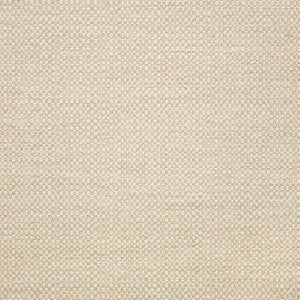 44285-0000 Action Linen by Sunbrella Designer Fabric