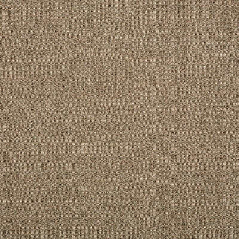 44285-0003 Action Taupe by Sunbrella Designer Fabric our website for purchase 100% Sunbrella Acrylic USA (see sample) n/a 54"  - Swanky Fabrics -