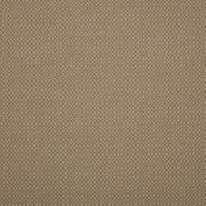 44285-0003 Action Taupe by Sunbrella Designer Fabric our website for purchase 100% Sunbrella Acrylic USA (see sample) n/a 54"  - Swanky Fabrics -