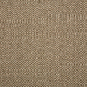 44285-0003 Action Taupe by Sunbrella Designer Fabric