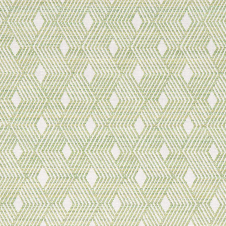 Alcado Meadow by Bella-Dura Designer Fabric  100% HIGH UV POLYESTER USA 70,000 H: 2.125" V: 2.5" 55.25"  - Swanky Fabrics -