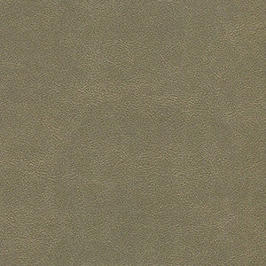 Alchemy Nine Iron by Enduratex Designer Fabric