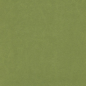 Alchemy Posh Peridot by Enduratex Designer Fabric
