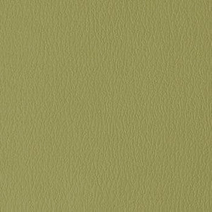 All American Sage by Naugahyde Designer Fabric
