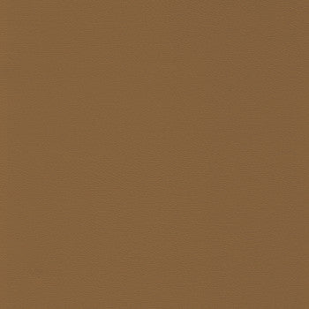 Allante Free Cookie by Morbern Designer Fabric See sample 100% Vinyl  200000 Horizontal: Not Applicable and Vertical: Not Applicable 54"  - Swanky Fabrics -