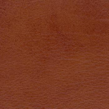 Allegro Old Whiskey 0872 by Spradling Designer Fabric See sample 100% Vinyl USA or Imported Water-based cleaning agents and foam may be used for cleaning. Cleaning by a professional cleaning service is recommended. </p><p>Repeat: Horizontal: and Vertical: 54" - Swanky Fabrics -
