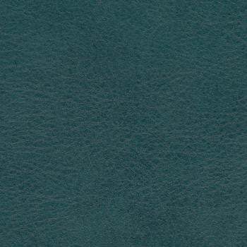 Allegro Shadow Green 0880 by Spradling Designer Fabric See sample 100% Vinyl USA or Imported Water-based cleaning agents and foam may be used for cleaning. Cleaning by a professional cleaning service is recommended. </p><p>Repeat: Horizontal: and Vertical: 54" - Swanky Fabrics -