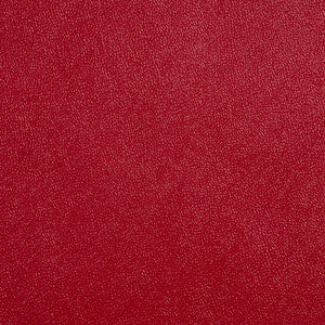 Allsport-Aztec Aztec by Charlotte Designer Fabric