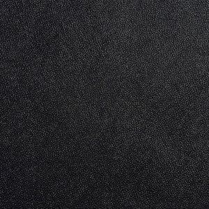 Allsport-Black Black by Charlotte Designer Fabric