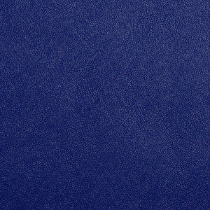 Allsport-Blue Blue by Charlotte Designer Fabric