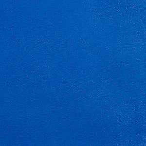 Allsport-Royal Royal by Charlotte Designer Fabric
