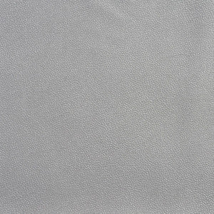 Allsport-Silver Silver by Charlotte Designer Fabric