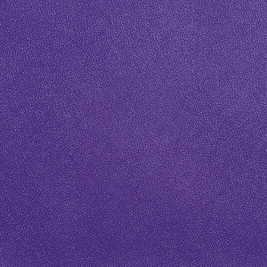 Allsport-Violet Violet by Charlotte Designer Fabric
