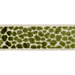 Alpas Lime by Europatex Designer Trim