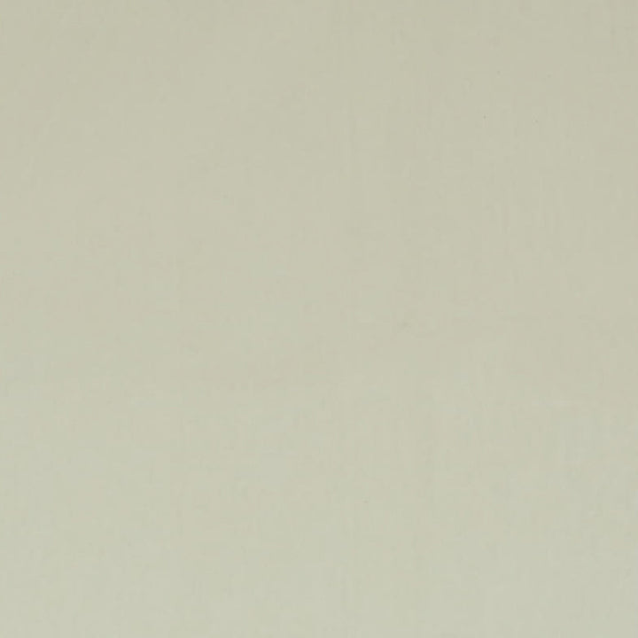 Ashwan Bone by Europatex Designer Fabric Ashwan 100% Polyester 0.00" 58.00 inches - Swanky Fabrics -