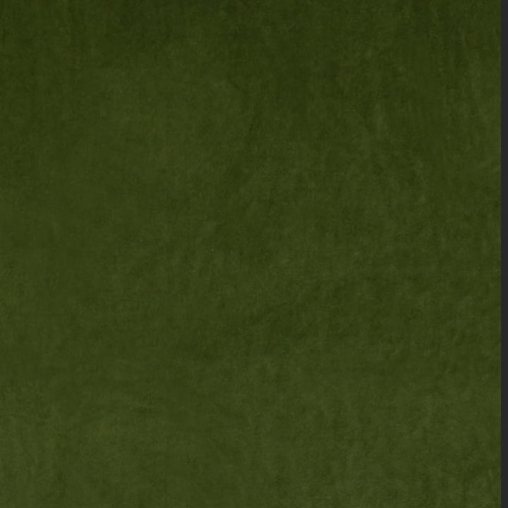 Ashwan Grass by Europatex Designer Fabric Ashwan 100% Polyester 0.00" 58.00 inches - Swanky Fabrics -
