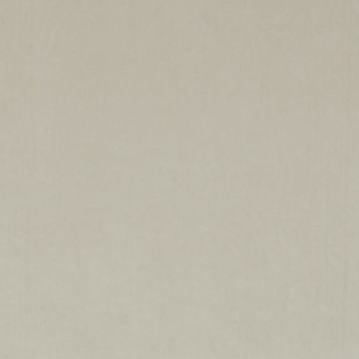 Ashwan Stone by Europatex Designer Fabric Ashwan 100% Polyester 0.00" 58.00 inches - Swanky Fabrics -