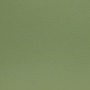 Aura Grass by Nassimi Designer Fabric