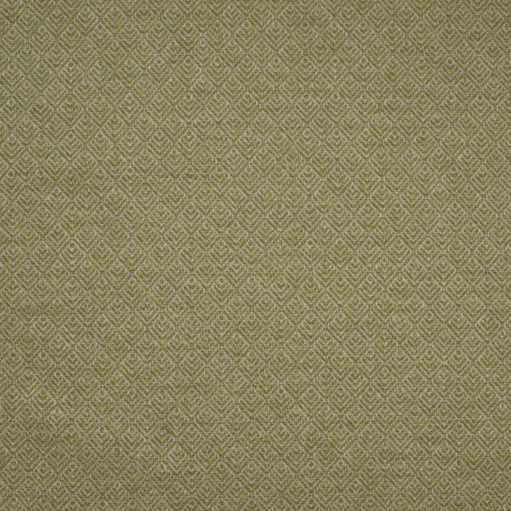 Aztec Paladin Lime by Europatex Designer Fabric Aztec 82% Polyester, 18% Cotton 0.85" H, 1.07" V 54.00 inches - Swanky Fabrics -