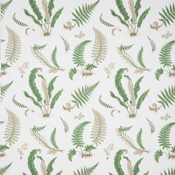 Ferns Print Snow by Lee Jofa Fabric Lee Jofa Fabric Ferns Print SnowFabric PERENNIA COTTON - 100% United Kingdom </p><p>Repeat: H: , V: 24.822 53.978 - Fabric Carolina -
