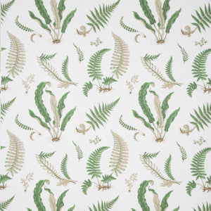 Ferns Print Snow by Lee Jofa Designer Fabric