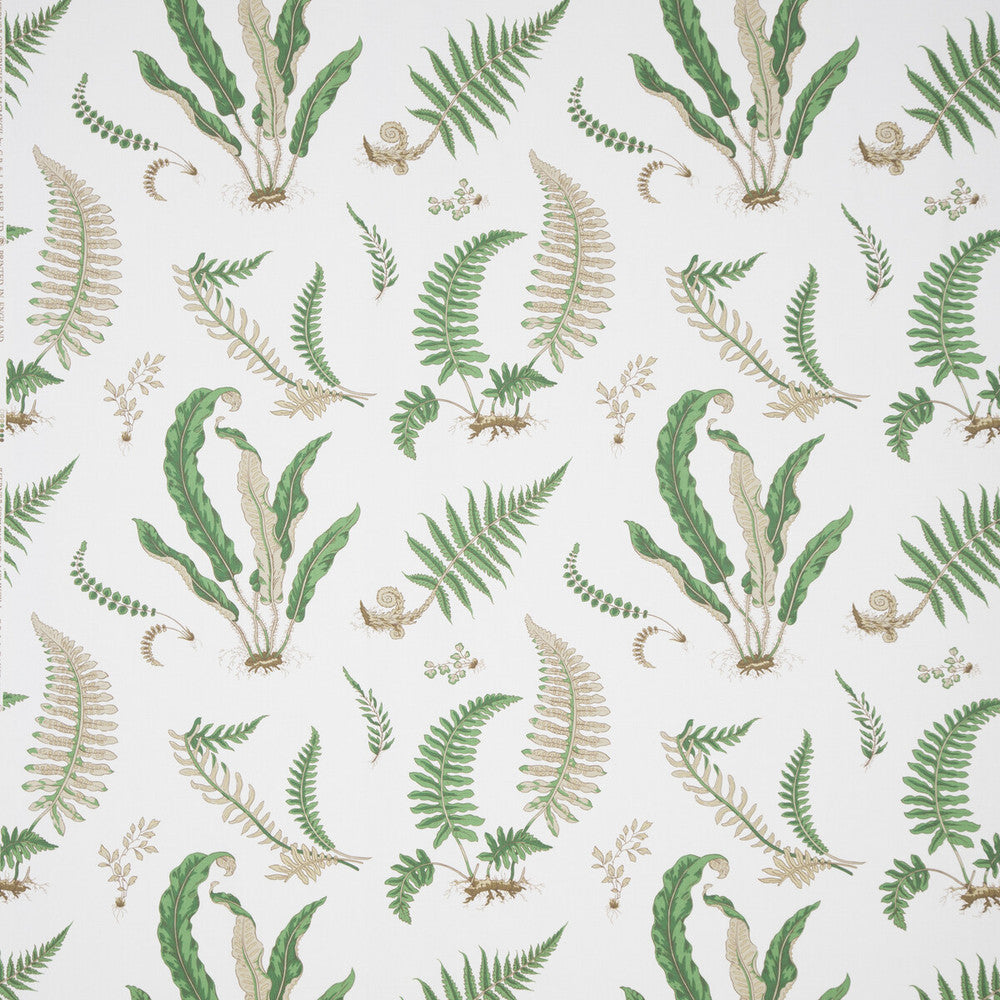 Ferns Print Snow by G P & J Baker Designer Fabric PERENNIA COTTON - 100% United Kingdom Horizontal: and Vertical: 24.822 53.978 - Swanky Fabrics -