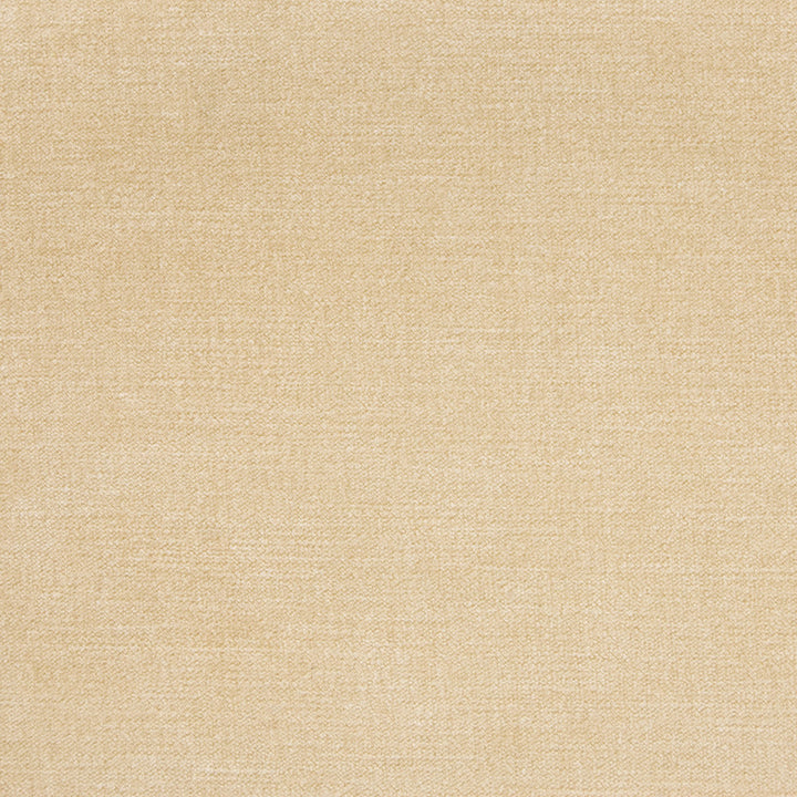 B1253 Sand by Greenhouse Designer Fabric 90% Polyester, 10% Nylon China 100,000 </p><p>Repeat: None 58" - Swanky Fabrics -