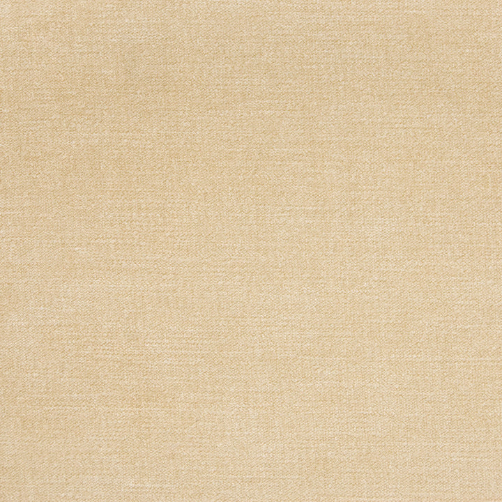 B1253 Sand by Greenhouse Designer Fabric E99: velvets by COLOR 90% Polyester, 10% Nylon China 100,000 double rubs </p><p>Repeat: None 58" - Swanky Fabrics -