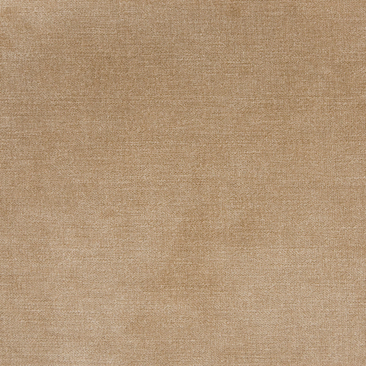B1255 Taupe by Greenhouse Designer Fabric 90% Polyester, 10% Nylon China 100,000 </p><p>Repeat: None 58" - Swanky Fabrics -