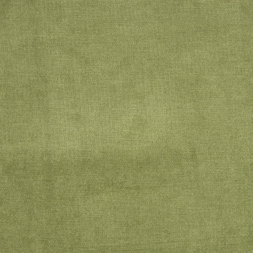 B1272 Fern by Greenhouse Designer Fabric 90% Polyester, 10% Nylon China 100,000 double rubs </p><p>Repeat: None 58" - Swanky Fabrics -