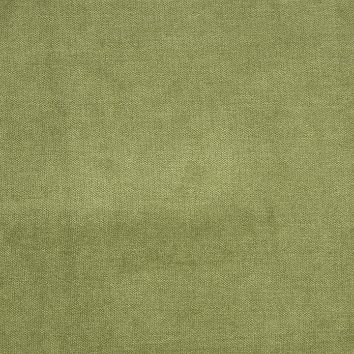 B1272 Fern by Greenhouse Designer Fabric 90% Polyester, 10% Nylon China 100,000 double rubs </p><p>Repeat: None 58" - Swanky Fabrics -