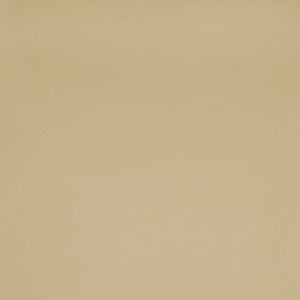B2361 Allante Hideaway by Greenhouse Designer Fabric