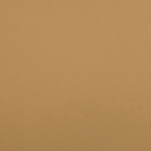 B5189 Zander Dune by Greenhouse Designer Fabric