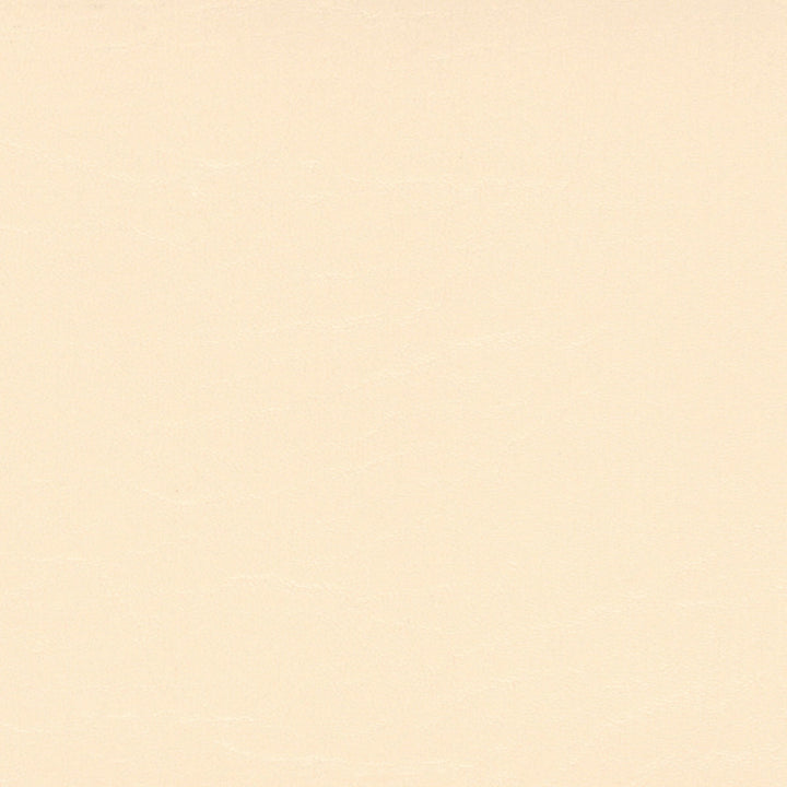 B5227 Heidi Soft Vanilla by Greenhouse Designer Fabric 100% Polyester Hi-Loft™ Backing Weight: 29 Ounces/Yard Roll Size: 30 Yards Mildew Resistant Uv Stabilized Pigments Cold Crack: -10°F Costa Rica 50,000 double rubs </p><p>Repeat: None 54" - Swanky Fabrics -
