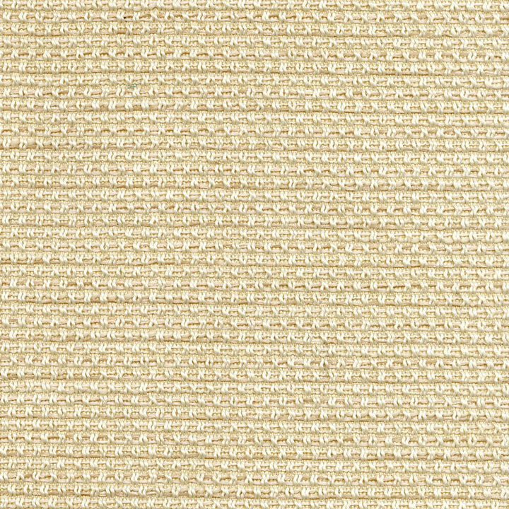 B5400 Snow by Greenhouse Designer Fabric 100% Polyester China 440,000 </p><p>Repeat: No Definite Repeat 56" - Swanky Fabrics -