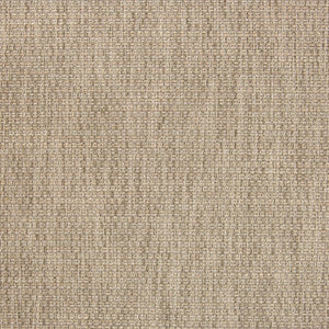 B5409 Gainsboro by Greenhouse Designer Fabric