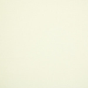 B5715 Snow by Greenhouse Designer Fabric