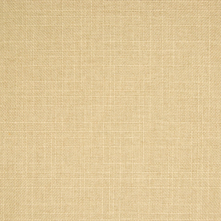 B6793 Straw by Greenhouse Designer Fabric 100% Polyester China 55,000 </p><p>Repeat: None 57" - Swanky Fabrics -