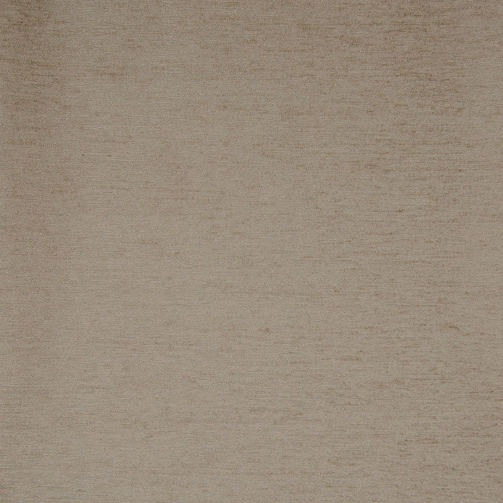 B7509 Oyster by Greenhouse Designer Fabric F07: Value Plush 65% Polyester, 35% Viscose China 60,000 double rubs </p><p>Repeat: No Definite Repeat 56" - Swanky Fabrics -