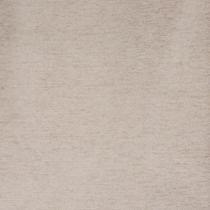 B7526 Pumice by Greenhouse Designer Fabric 65% Polyester, 35% Viscose China 60,000 double rubs </p><p>Repeat: No Definite Repeat 56" - Swanky Fabrics -