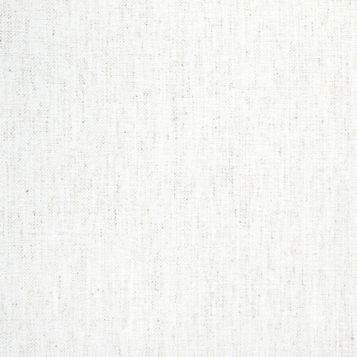 B8489 Snow by Greenhouse Designer Fabric 92% Polyester, 8% Linen China 100,000 double rubs </p><p>Repeat: None 54" - Swanky Fabrics -